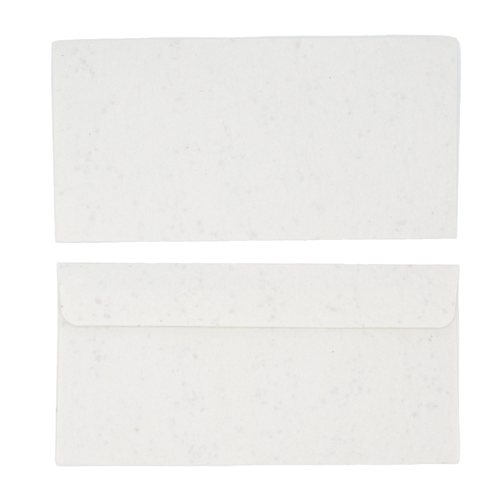 Envelope DL blank